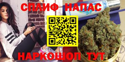 СК Гагарин