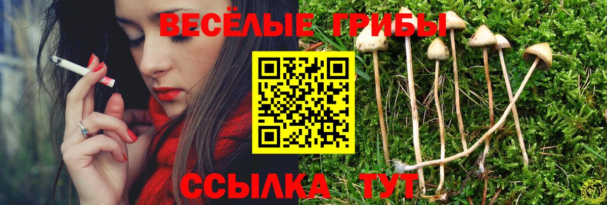 Трёхгорный  Псилоцибиновые грибы прущие грибы  Вход с VPN 