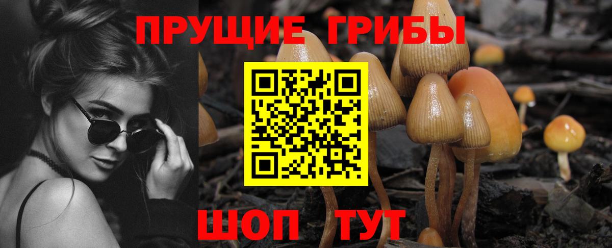 Псилоцибиновые грибы Cubensis Трёхгорный